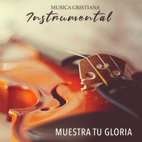 Muestra tu Gloria | Boomplay Music
