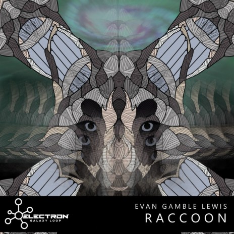 Raccoon | Boomplay Music