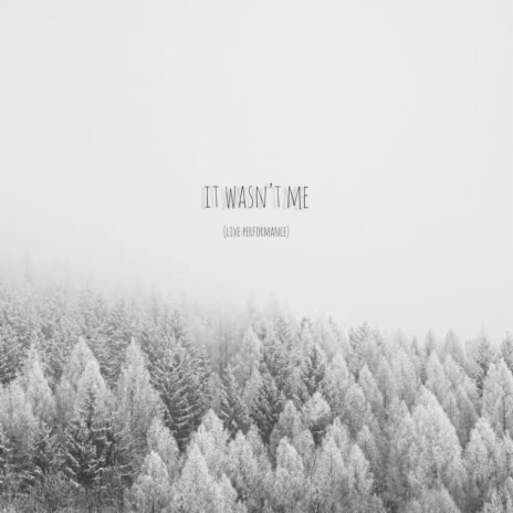 it wasn't me (voice memo) | Boomplay Music