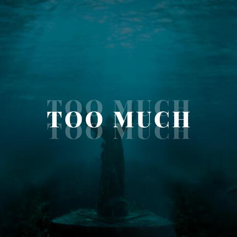 Too Much | Boomplay Music