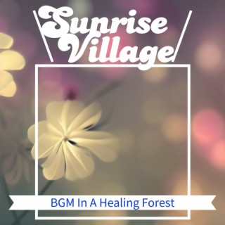 BGM In A Healing Forest