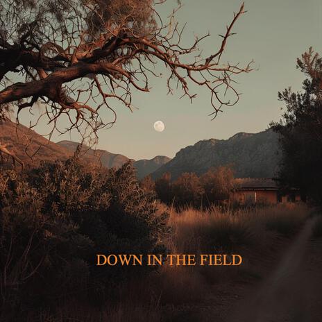 Down In The Field | Boomplay Music