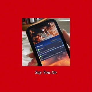 Say You Do