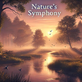 Nature's Symphony lyrics | Boomplay Music