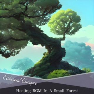 Healing BGM In A Small Forest