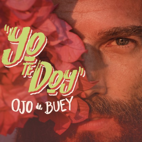 Yo Te Doy | Boomplay Music