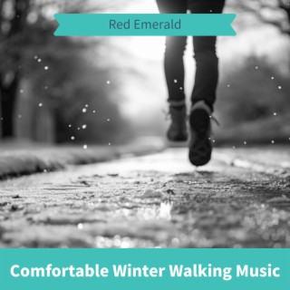 Comfortable Winter Walking Music