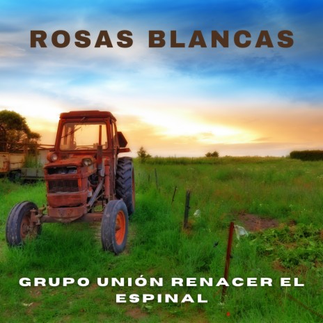 Rosas Blancas | Boomplay Music