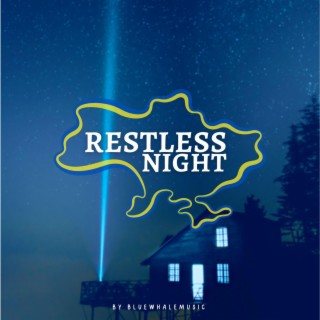 Restless Night