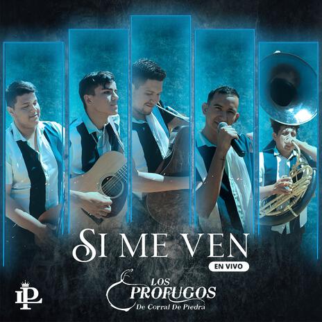 Si Me Ven (En vivo) | Boomplay Music