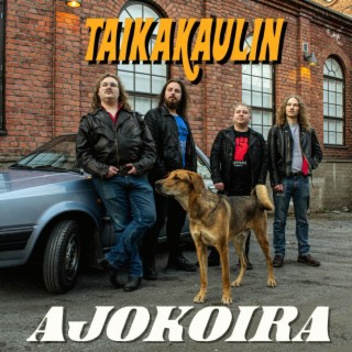 Taikakaulin