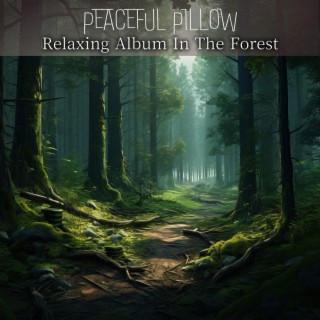 Relaxing Album In The Forest