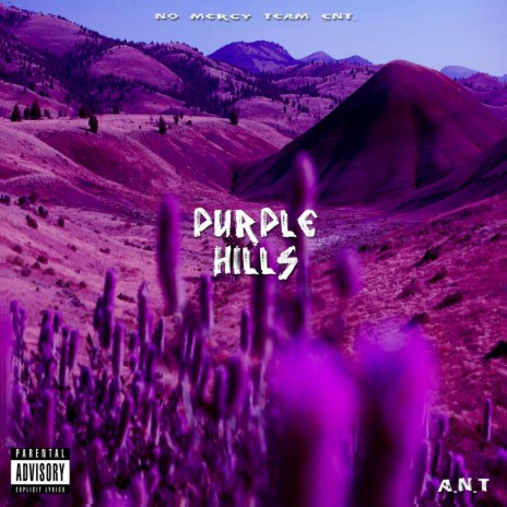 Purple Hills | Boomplay Music