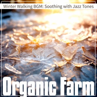 Winter Walking BGM: Soothing with Jazz Tones