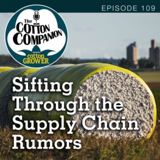 Sifting Through the Supply Chain Rumors