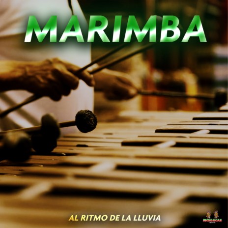 Subeme La Radio ft. Marimba Mix | Boomplay Music