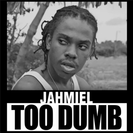 Too Dumb | Boomplay Music