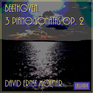 Beethoven: 3 Piano Sonatas Op. 2