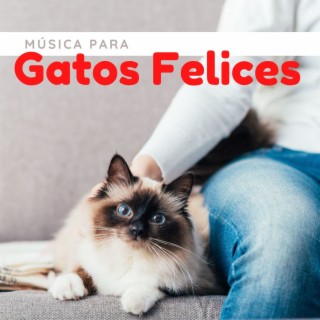 Música para Gatos Felices: Canciones Relajantes para Calmar Felinos
