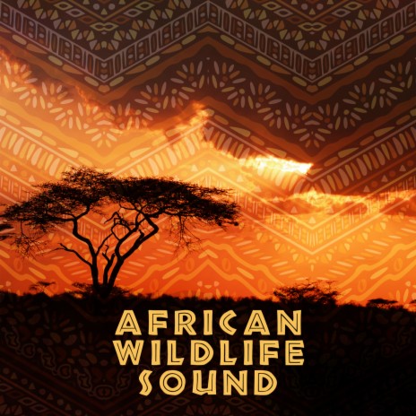 Real African Sunrise ft. The Master Of Chi | Boomplay Music