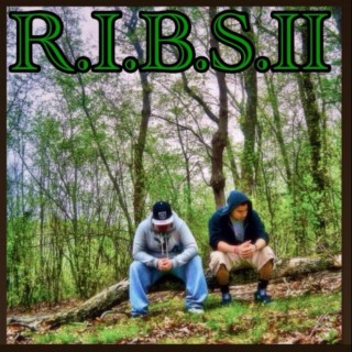 RIBS II (The Return)
