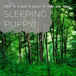 BGM To Create A Space To Heal The Mind