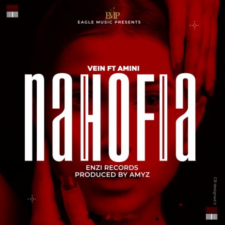 Nahofia ft. Amini | Boomplay Music