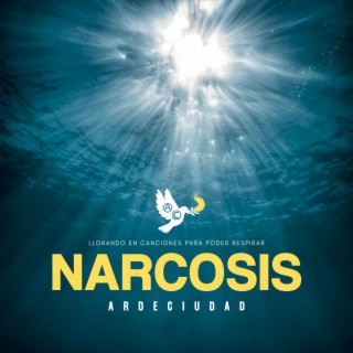 Narcosis lyrics | Boomplay Music