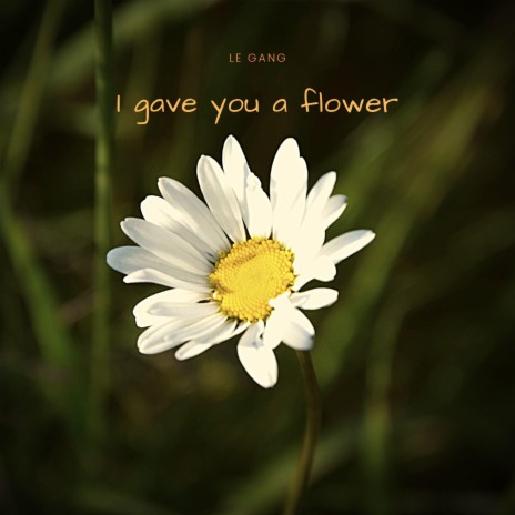 I Gave You a Flower | Boomplay Music