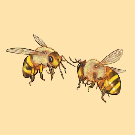 Abejas | Boomplay Music