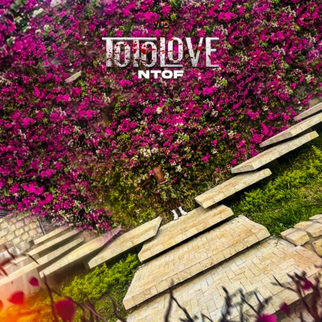 TOTOLOVE | Boomplay Music