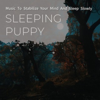 Music To Stabilize Your Mind And Sleep Slowly