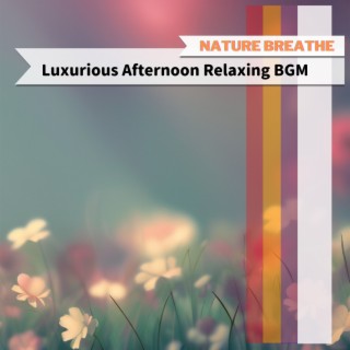 Luxurious Afternoon Relaxing BGM