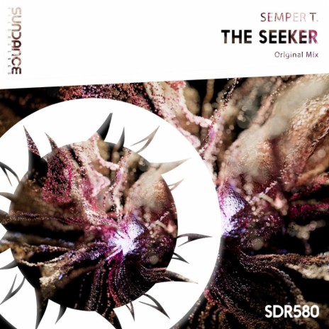 The Seeker