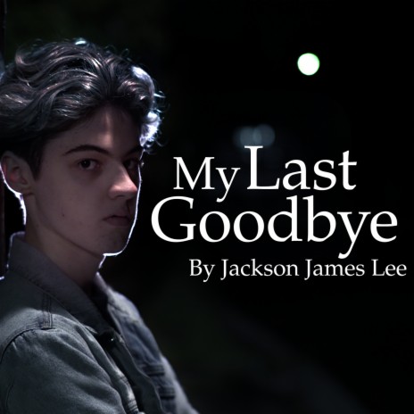 My Last Goodbye | Boomplay Music