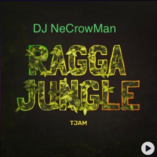 094 Ragga Jungle by TJAM