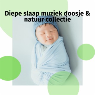 Diepe slaap muziek doosje & natuur collectie