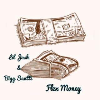 Flex Money ft. Lil Josh lyrics | Boomplay Music