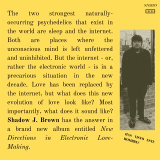 New Directions in Electronic Love-Making
