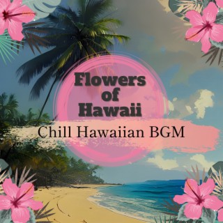 Chill Hawaiian BGM