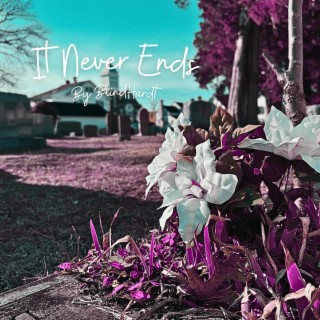 It Never Ends lyrics | Boomplay Music