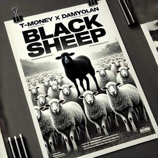 Black Sheep