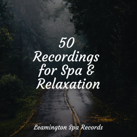 Spa Music | Boomplay Music