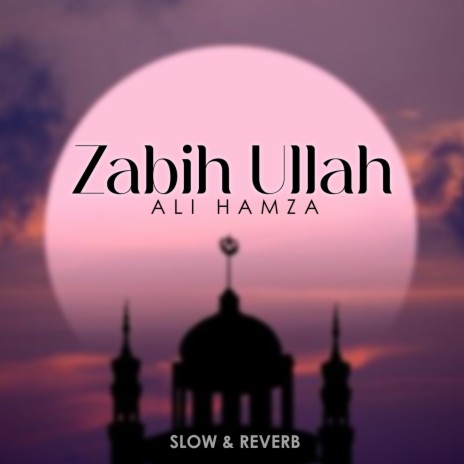 Zabih Ullah Lofi | Boomplay Music