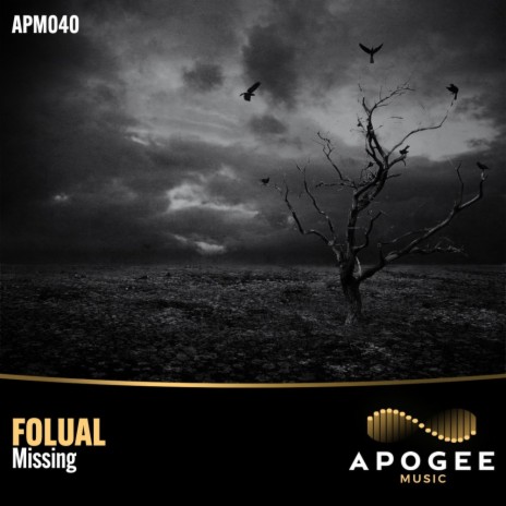 Missing (Melodic Mix Edit) | Boomplay Music