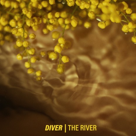 The River | Boomplay Music