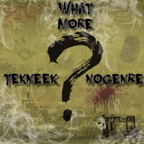 What More ft. NoGenre | Boomplay Music