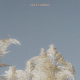 Soft Sounds'