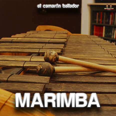 Por Amor A Ti ft. Marimba | Boomplay Music