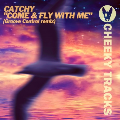 Come & Fly With Me (Groove Control Radio Edit)